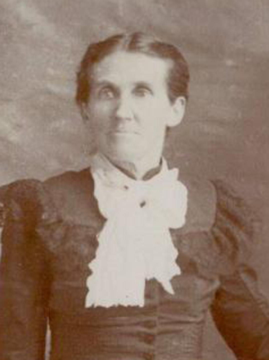 Mary Elizabeth Meeks (1842 - 1922) Profile